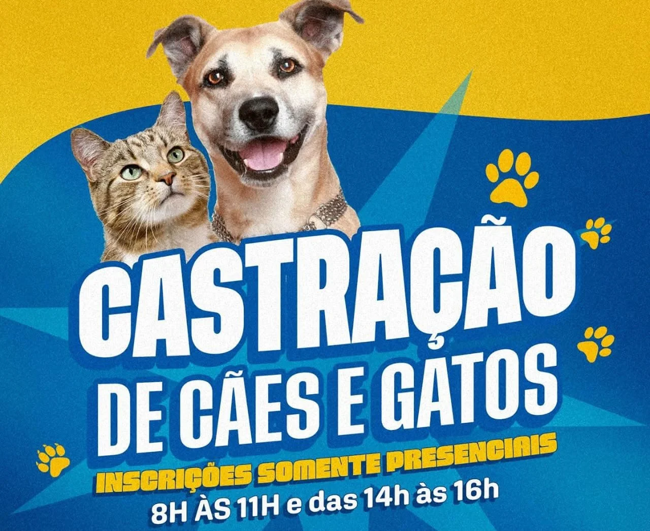Prefeitura de Coari abre inscrições para castração gratuita de cães e 