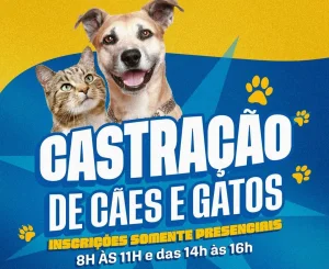 Prefeitura de Coari abre inscrições para castração gratuita de cães e 